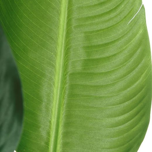 Green Artificial Bird of Paradise Plant, Ø20x150cm