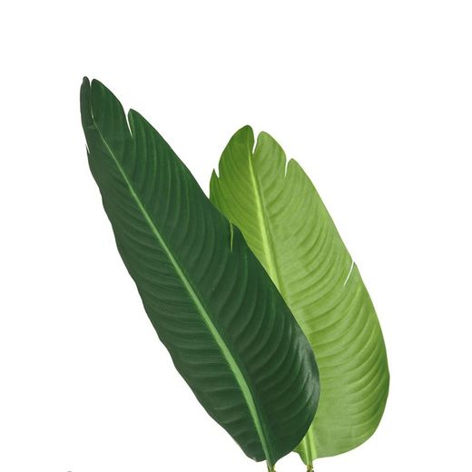 Green Artificial Bird of Paradise Plant, Ø20x150cm
