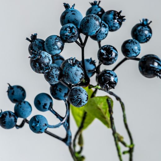 Plante bleue, Ø10x45cm