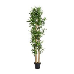 Planta de bambu verde, Ø40x190cm