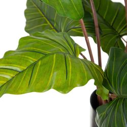 Planta de Colocasia Artificial Verde, Ø42x130cm