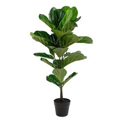 Polyethylene fiddle leaf plant in green, 36 x 46 x 100 cm | Fiddle