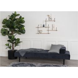 Polyethylene Fiddle Leaf Planter in Green, 81 x 93 x 190 cm | Fiddle