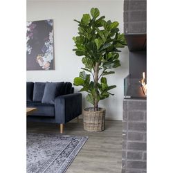 Polyethylene Fiddle Leaf Planter in Green, 81 x 93 x 190 cm | Fiddle