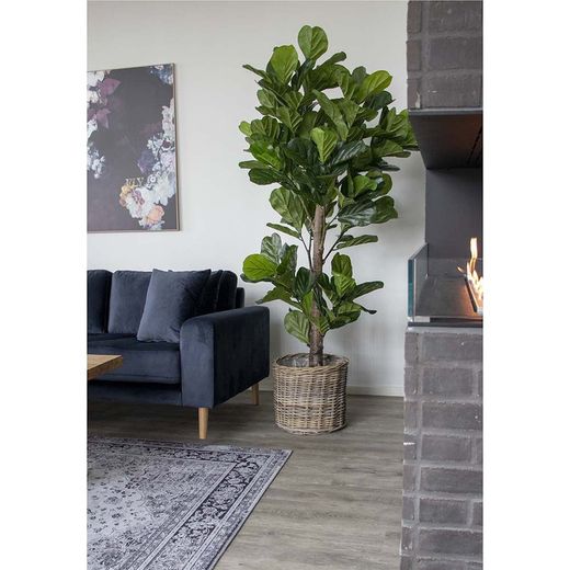 Polyethylene Fiddle Leaf Planter in Green, 81 x 93 x 190 cm | Fiddle