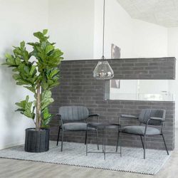 Polyethylene Fiddle Leaf Planter in Green, 81 x 93 x 190 cm | Fiddle