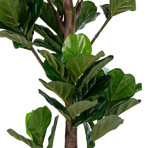 Polyethylene Fiddle Leaf Planter in Green, 81 x 93 x 190 cm | Fiddle