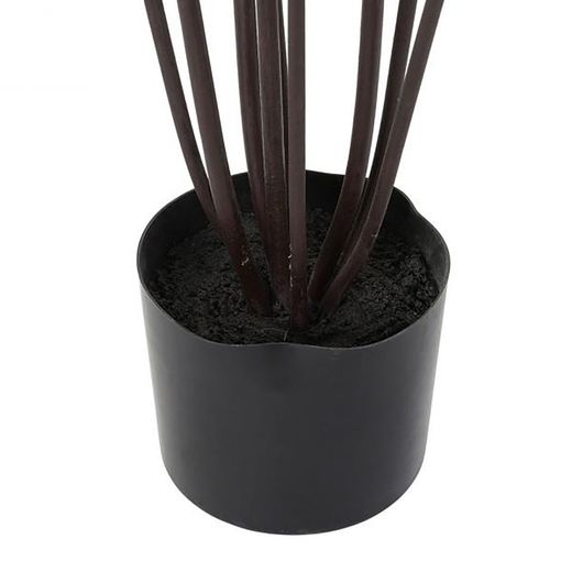 Green Dracaena Plant, Ø75x180cm