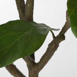 Ficus Lyrata Green Plastic Plant, Ø53x203cm