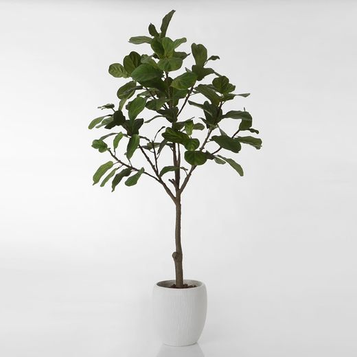Plante verte en plastique Ficus Lyrata, Ø53x203cm