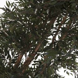 Fougère Verte, Ø35x210cm