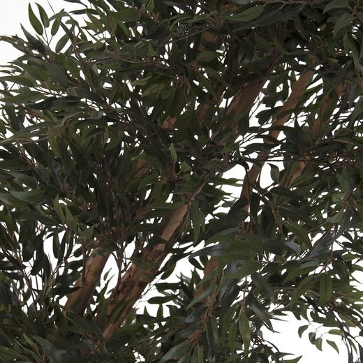 Fougère Verte, Ø35x210cm