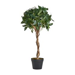 Planta artificial Laurel verde, Ø30 x 83 cm