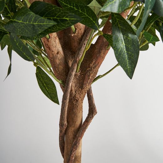 Planta artificial Laurel verde, Ø30 x 83 cm