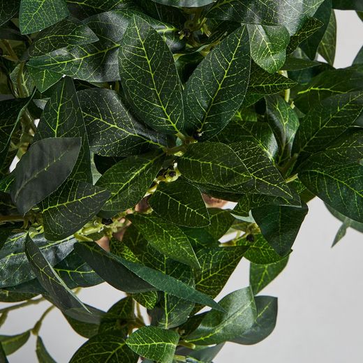 Planta artificial Laurel verde, Ø30 x 83 cm