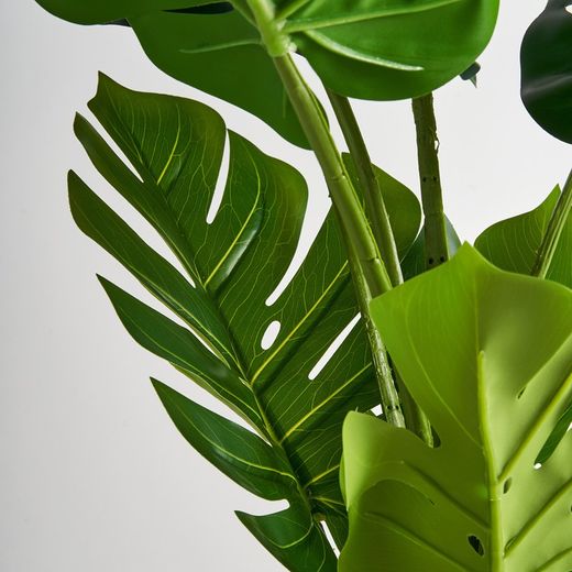 Green Monstera Plant, 44x150 cm
