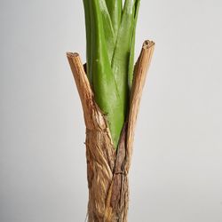 Green Monstera Plant, 44x150 cm