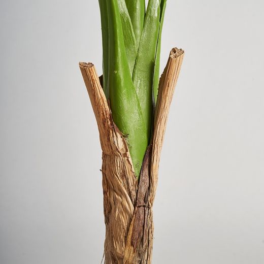 Green Monstera Plant, 44x150 cm