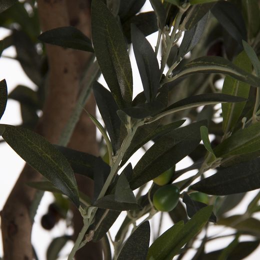Green Olive Plant, Ø60x190cm