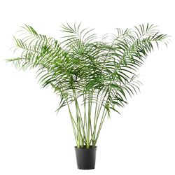 Grüne Areca-Palme aus Kunststoff, Ø90x198cm