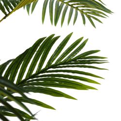 Planta artificial de palmeira areca em verde, 100 x 130 x 210 cm