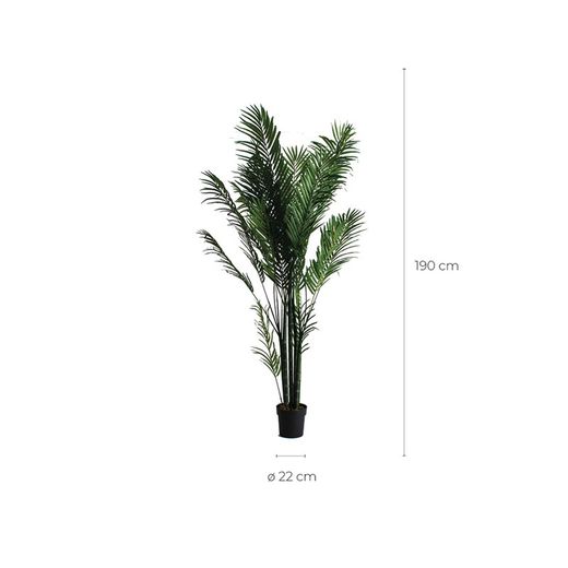 Palmier vert, 40x50x210cm