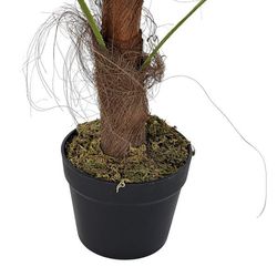 Palm Plant XS Verde, Ø40x90cm