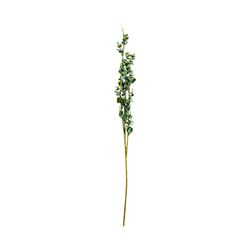 Ramos de Planta Verde, Ø0x102cm