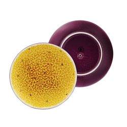 Passion Fruit Dessert Plate made of yellow and purple earthenware, Ø 21 x 2.6 cm | Tropical Fruits