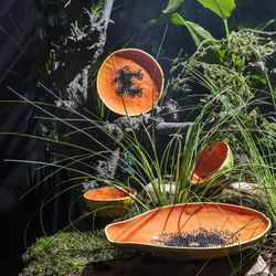 Papaya aardewerk dessertbord in oranje en geel, 21,1 x 21 x 2,6 cm | Tropische vruchten