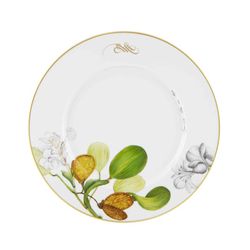 Amazonia 18-delig servies