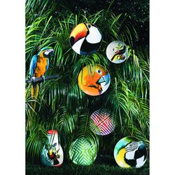 Olhar O Brasil porslin Papagayo presentationstallrik, Ø32,7x2,8 cm