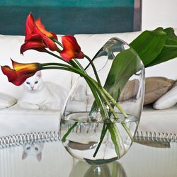 Kurzes Whiskyglas aus Klarglas, Ø 8,5 x 8 cm | Sansibar