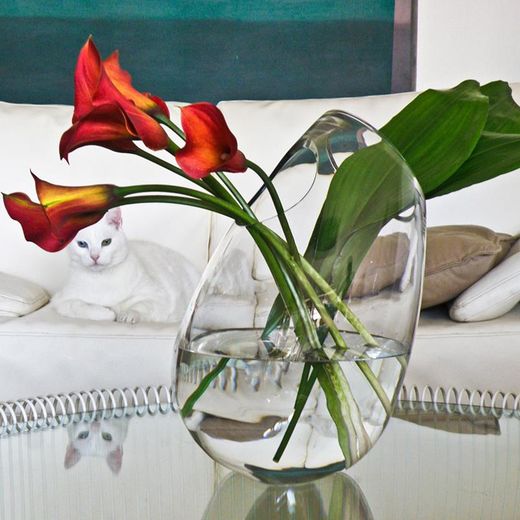 Kurzes Whiskyglas aus Klarglas, Ø 8,5 x 8 cm | Sansibar