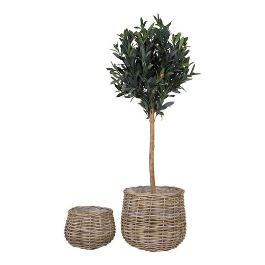 Set of 2 natural rattan baskets, 38 x 38 x 34 cm | Pulo