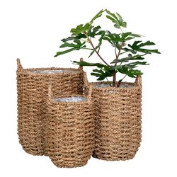 Set of 3 seagrass baskets in natural, 31 x 31 x 37 cm | Hue