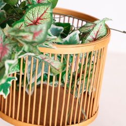 Sæt med 3 bambus plantekasser i natur, Ø x 37 x 68 cm | arteaga