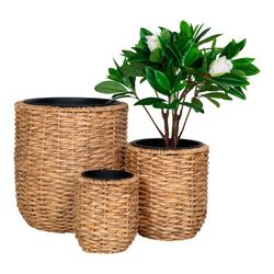 Set of 3 water hyacinth planters in natural, 49 x 49 x 51.5 cm | Hanoi