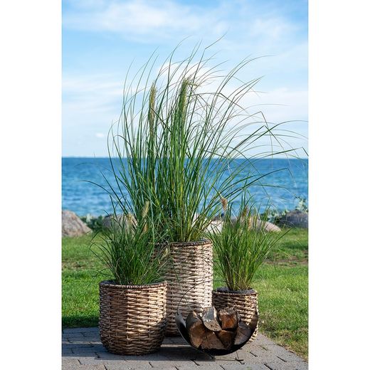 Set of 3 water hyacinth planters in natural, 49 x 49 x 51.5 cm | Hanoi