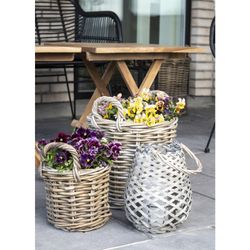 Set of 4 natural rattan baskets, 50 x 50 x 58 cm | Caor