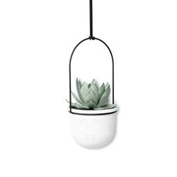 Set van 5 hangende plantenbakken in zwart en wit polymeer, 138 x 18 x 95 cm | drieflora