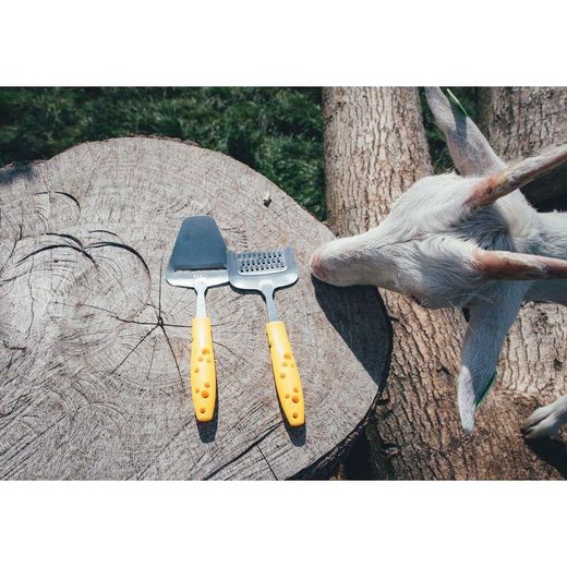 Cheesy cheese set, 22.5 x 7.5 x 2 cm