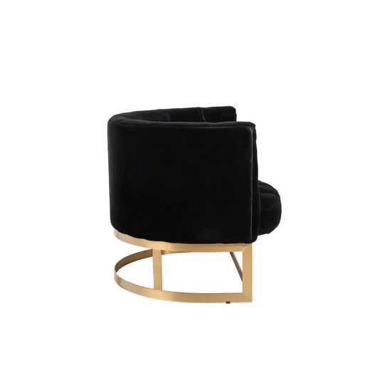 Canapé Boutons 1 oreiller Wilson 1 personne Velours Métal / Bouleau Anthracite / Or