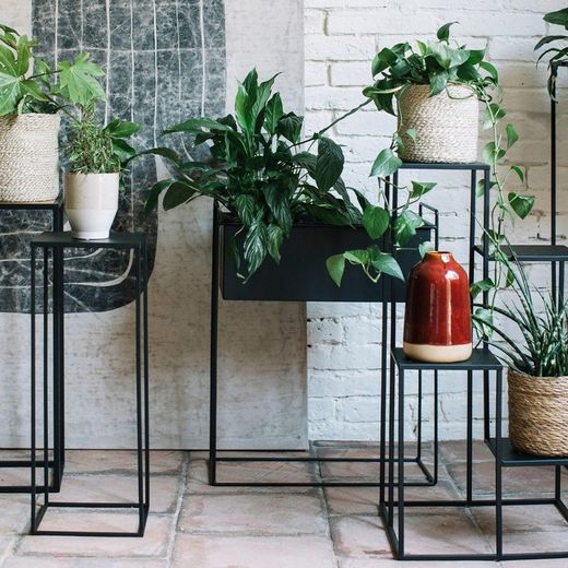 Support pour plantes en métal noir, 70 x 40 x 40 cm