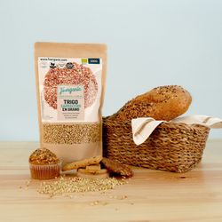 Σπόρος Φαγόπυρου ECO, 500 γρ